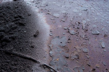 DSC_1696.jpg