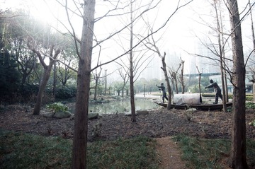 DSC_0009-4.jpg