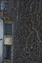 DSC_4728.jpg
