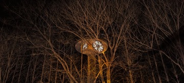 DSC_3618.jpg