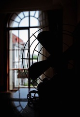 DSC_9954.jpg