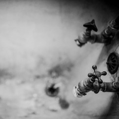 DSC_3330-1