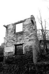 _DSC0108