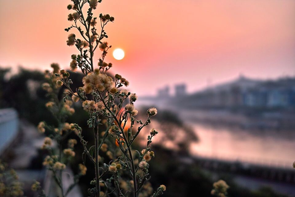 奇异的终点<br />
