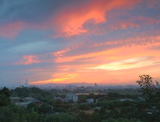 DSC_1110_ (2)