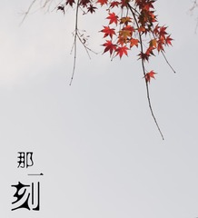 MA201412081847390080-00-00005f000