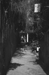 DSC_2258-1