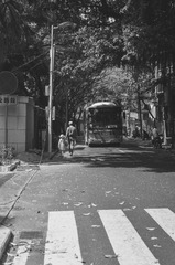 DSC_2266-1