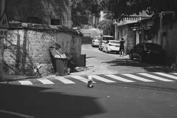 DSC_2269-1