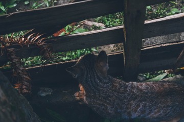 DSC_0158-13