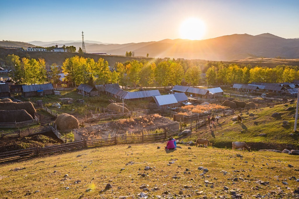 美丽的白哈巴村，金色的夕阳照在山坡上，一对恋人相拥在阳光里，静静地按下快门，不忍打破这甜蜜的时光·········