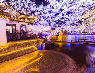 夜樱圆舞曲