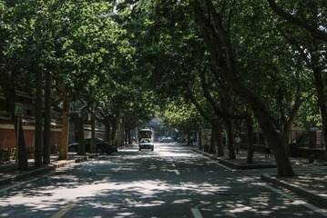 DSC00121-1