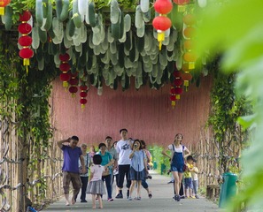 乐游游
