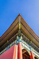 DSC_0068_1