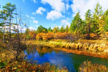 DSC_0162_油画1