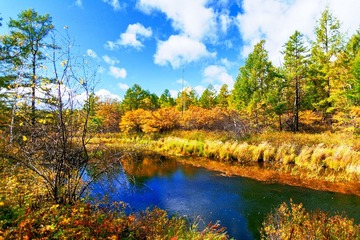 DSC_0162_油画