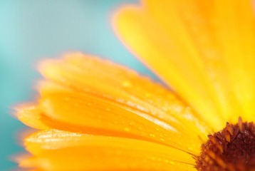 DSC_5903a