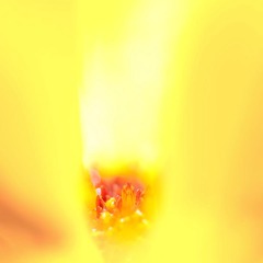 DSC_5959a