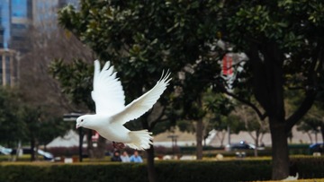 P3040130