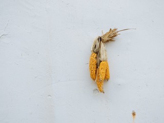 PA010121