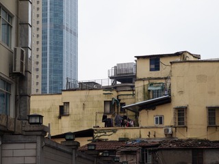 P1315366