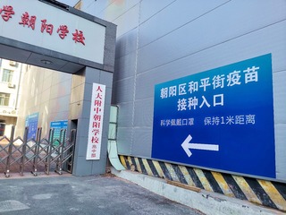 紫叶李