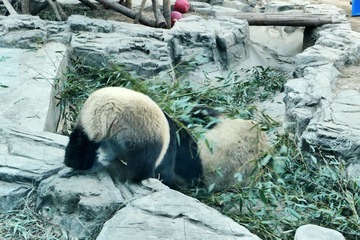 舷窗