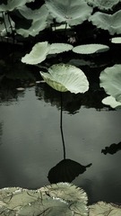 IMG_9370.jpg