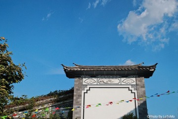 IMG_7915.jpg