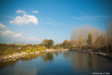IMG_7928.jpg
