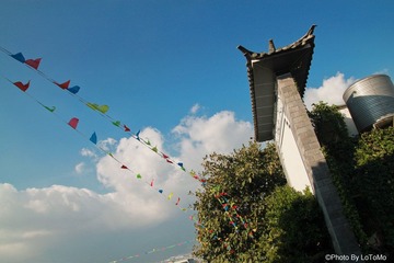 IMG_7932.jpg