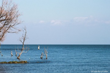 IMG_7964.jpg