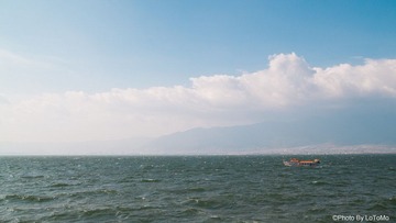 IMG_8018.jpg