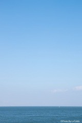 IMG_8139.jpg