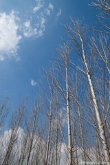 IMG_8155.jpg