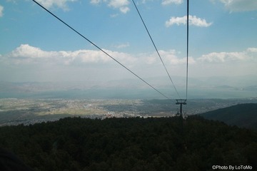 IMG_8220.jpg