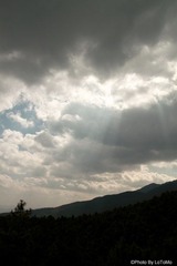 IMG_8226.jpg