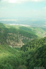 IMG_8230.jpg