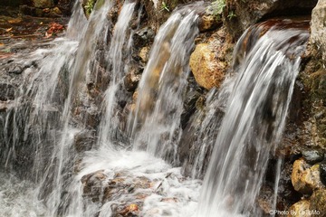 IMG_8257.jpg