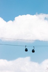 IMG_8266.jpg