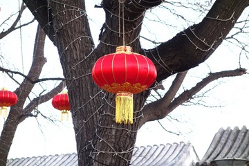 玫瑰瓣