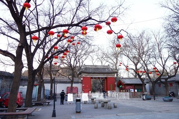 绿叶