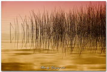 IMG_3593zx
