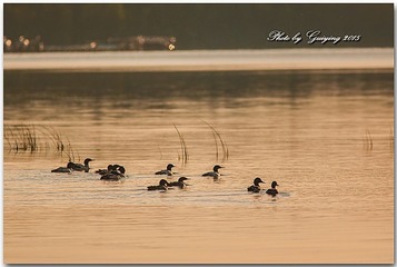 IMG_3622x
