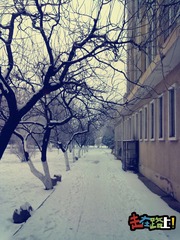 20141208209_
