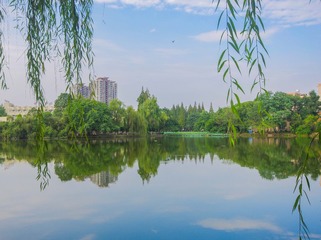 ZQ__2796-1