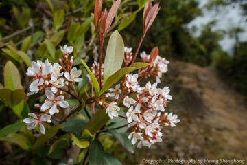 20160402-HSH_2173_