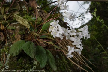 20160417-HSH_2909_