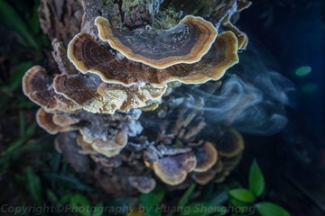 HSH_8577_